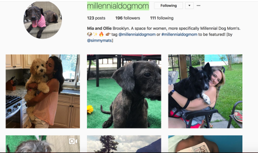 Screen Shot 2017-08-04 at 6.55.01 PM.png